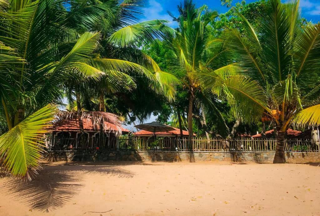 Serenity Beach Cabanas タンガラ エクステリア 写真